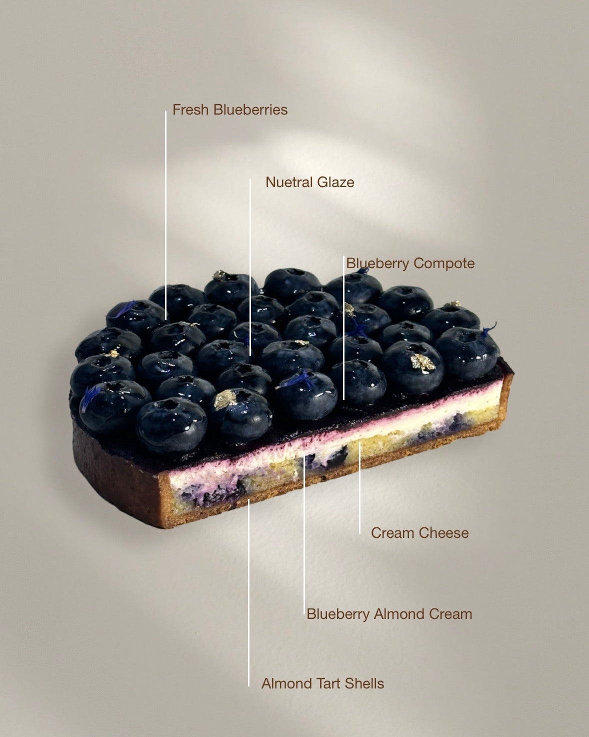 Blueberry Fromange Tart